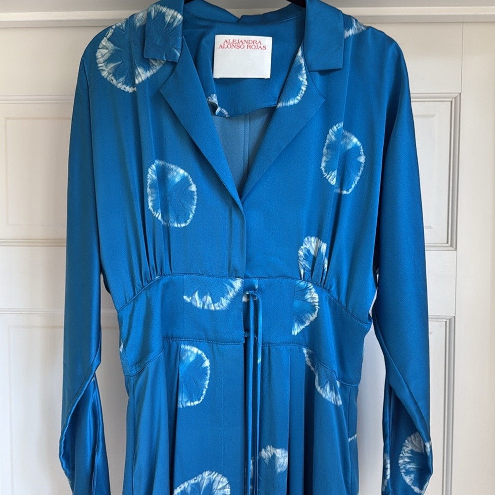Alejandra Alonso Rojas Shibori Silk Tie-Front Dress - Picture 10 of 15